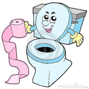 Toilet Hygiene