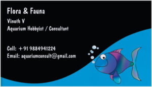 Aquarium