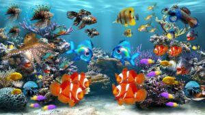 aquarium