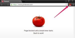 chrome extension