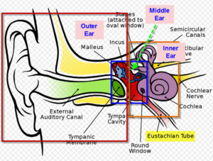 ear pain