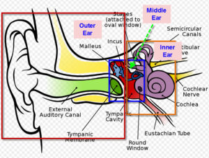 ear pain