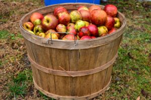 Apple Cider Vinegar