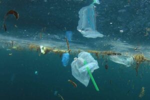 Plastic Pollution