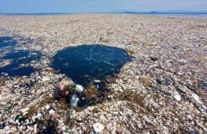 Plastic Pollution